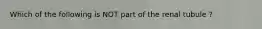 Which of the following is NOT part of the renal tubule ?