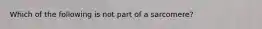 Which of the following is not part of a sarcomere?