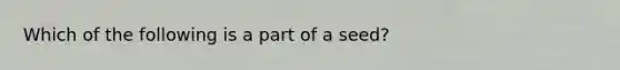 Which of the following is a part of a seed?