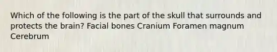 Which of the following is the part of the skull that surrounds and protects the brain? Facial bones Cranium Foramen magnum Cerebrum