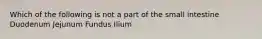 Which of the following is not a part of the small intestine Duodenum Jejunum Fundus Ilium