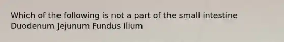 Which of the following is not a part of <a href='https://www.questionai.com/knowledge/kt623fh5xn-the-small-intestine' class='anchor-knowledge'>the small intestine</a> Duodenum Jejunum Fundus Ilium