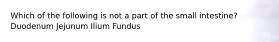 Which of the following is not a part of the small intestine? Duodenum Jejunum Ilium Fundus