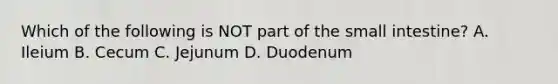 Which of the following is NOT part of the small intestine? A. Ileium B. Cecum C. Jejunum D. Duodenum