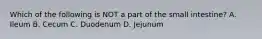 Which of the following is NOT a part of the small intestine? A. Ileum B. Cecum C. Duodenum D. Jejunum