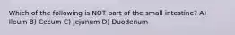 Which of the following is NOT part of the small intestine? A) Ileum B) Cecum C) Jejunum D) Duodenum