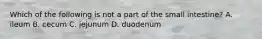 Which of the following is not a part of the small intestine? A. ileum B. cecum C. jejunum D. duodenum