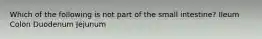 Which of the following is not part of the small intestine? Ileum Colon Duodenum Jejunum