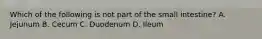 Which of the following is not part of the small intestine? A. Jejunum B. Cecum C. Duodenum D. Ileum