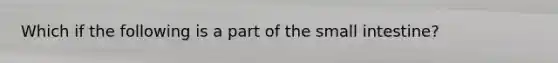 Which if the following is a part of the small intestine?