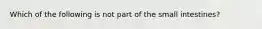 Which of the following is not part of the small intestines?