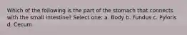 Which of the following is the part of the stomach that connects with the small intestine? Select one: a. Body b. Fundus c. Pyloris d. Cecum