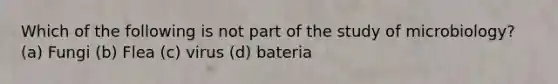 Which of the following is not part of the study of microbiology? (a) Fungi (b) Flea (c) virus (d) bateria