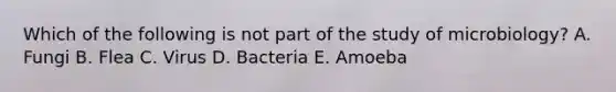 Which of the following is not part of the study of microbiology? A. Fungi B. Flea C. Virus D. Bacteria E. Amoeba