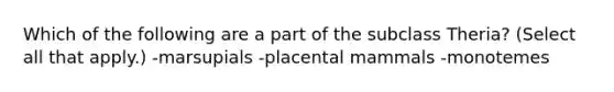 Which of the following are a part of the subclass Theria? (Select all that apply.) -marsupials -placental mammals -monotemes