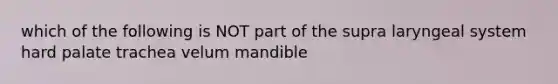 which of the following is NOT part of the supra laryngeal system hard palate trachea velum mandible