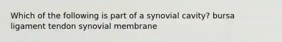 Which of the following is part of a synovial cavity? bursa ligament tendon synovial membrane