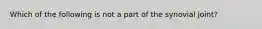 Which of the following is not a part of the synovial joint?