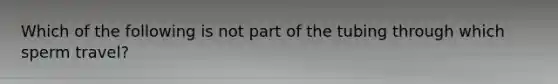 Which of the following is not part of the tubing through which sperm travel?