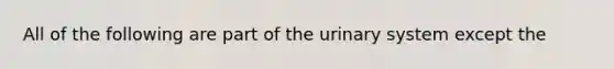 All of the following are part of the urinary system except the