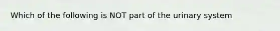 Which of the following is NOT part of the urinary system