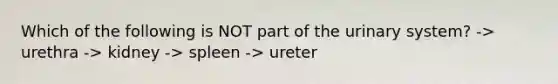 Which of the following is NOT part of the urinary system? -> urethra -> kidney -> spleen -> ureter