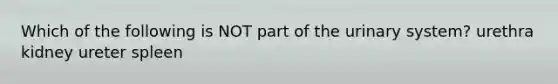 Which of the following is NOT part of the urinary system? urethra kidney ureter spleen