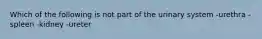 Which of the following is not part of the urinary system -urethra -spleen -kidney -ureter
