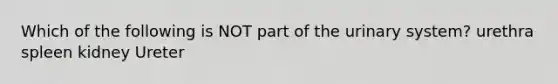 Which of the following is NOT part of the urinary system? urethra spleen kidney Ureter