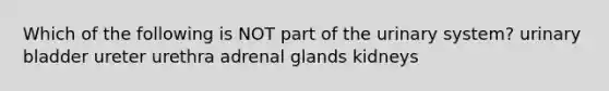 Which of the following is NOT part of the urinary system? urinary bladder ureter urethra adrenal glands kidneys