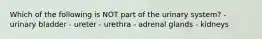 Which of the following is NOT part of the urinary system? - urinary bladder - ureter - urethra - adrenal glands - kidneys