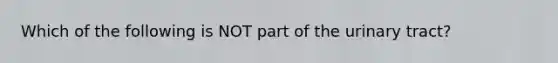 Which of the following is NOT part of the urinary tract?