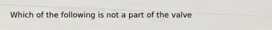 Which of the following is not a part of the valve