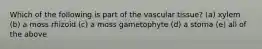 Which of the following is part of the vascular tissue? (a) xylem (b) a moss rhizoid (c) a moss gametophyte (d) a stoma (e) all of the above