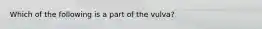 Which of the following is a part of the vulva?