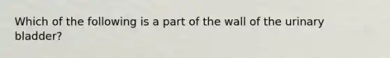 Which of the following is a part of the wall of the urinary bladder?