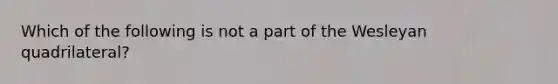 Which of the following is not a part of the Wesleyan quadrilateral?