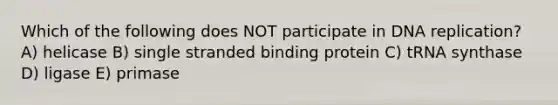 Which of the following does NOT participate in DNA replication? A) helicase B) single stranded binding protein C) tRNA synthase D) ligase E) primase