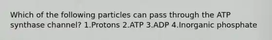 Which of the following particles can pass through the ATP synthase channel? 1.Protons 2.ATP 3.ADP 4.Inorganic phosphate