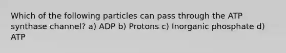 Which of the following particles can pass through the ATP synthase channel? a) ADP b) Protons c) Inorganic phosphate d) ATP