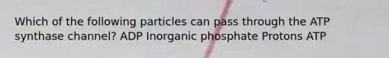 Which of the following particles can pass through the ATP synthase channel? ADP Inorganic phosphate Protons ATP