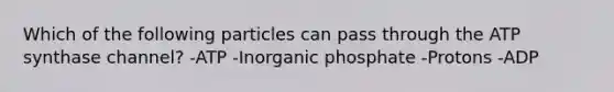 Which of the following particles can pass through the ATP synthase channel? -ATP -Inorganic phosphate -Protons -ADP