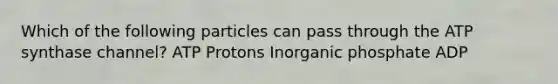 Which of the following particles can pass through the ATP synthase channel? ATP Protons Inorganic phosphate ADP