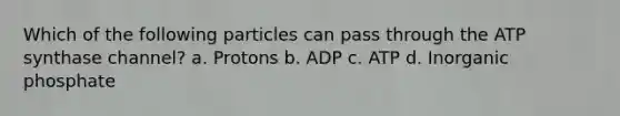 Which of the following particles can pass through the ATP synthase channel? a. Protons b. ADP c. ATP d. Inorganic phosphate