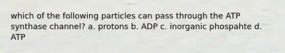 which of the following particles can pass through the ATP synthase channel? a. protons b. ADP c. inorganic phospahte d. ATP