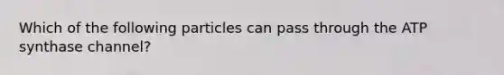 Which of the following particles can pass through the ATP synthase channel?