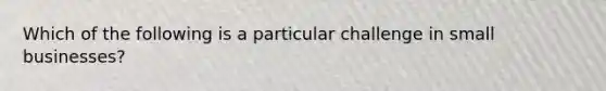 Which of the following is a particular challenge in small businesses?