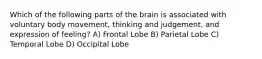 Which of the following parts of the brain is associated with voluntary body movement, thinking and judgement, and expression of feeling? A) Frontal Lobe B) Parietal Lobe C) Temporal Lobe D) Occipital Lobe