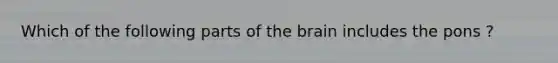 Which of the following parts of <a href='https://www.questionai.com/knowledge/kLMtJeqKp6-the-brain' class='anchor-knowledge'>the brain</a> includes the pons ?