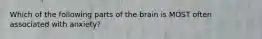 Which of the following parts of the brain is MOST often associated with anxiety?